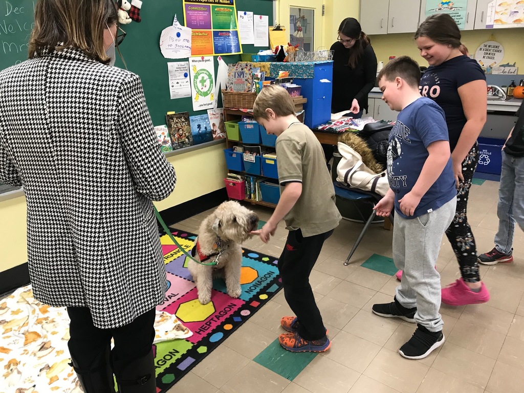 Live Feed Roscoe Central School